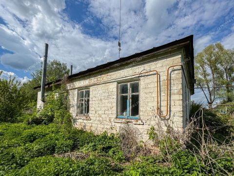 selo-bornukovo-buturlinskiy-municipalnyy-okrug фото