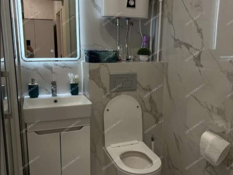 однокомнатная квартира на проспекте Ленина дом 30 к1