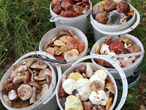 dom-pervomayskiy-balahninskiy-municipalnyy-okrug фото