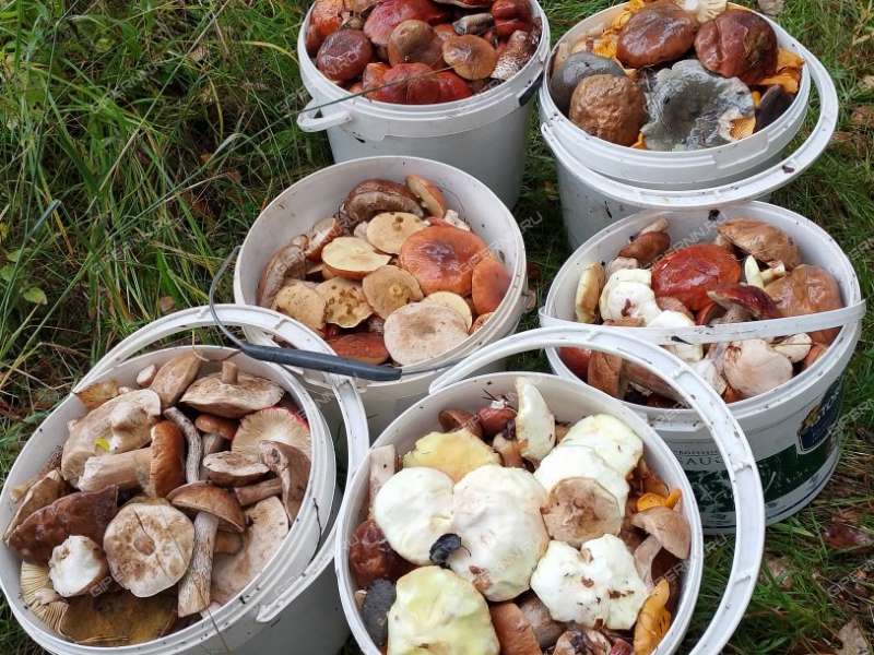 дом на  Первомайский