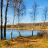земельный участок 21 сотка Дорожная улица деревня Швариха