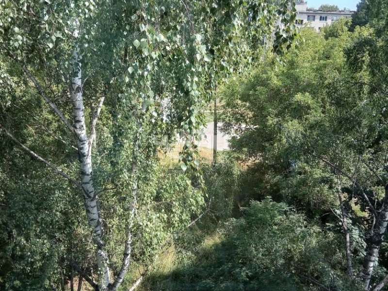 трёхкомнатная квартира на проспекте Дзержинского дом 45 город Заволжье