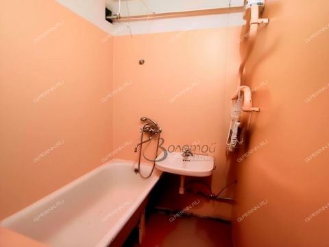 1-komnatnaya-ul-pavla-orlova-d-6 фото