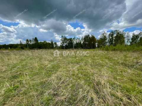 selo-ostankino-gorodskoy-okrug-bor фото