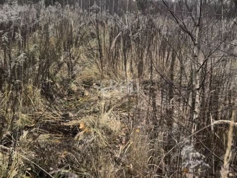 selo-bezvodnoe-kstovskiy-rayon фото