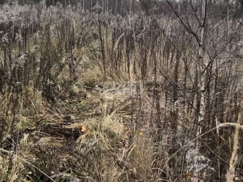 земельный участок 8,5 сотки село Безводное