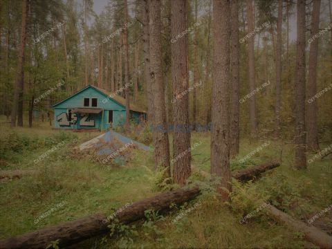 baza-otdyha-geolog-derevnya-syrohvatovo-kantaurovskiy-selsovet-ter-gorodskoy-okrug-bor фото