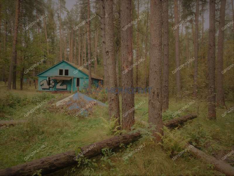 земельный участок под коммерческое использование в городском округе Бор Нижегородской области