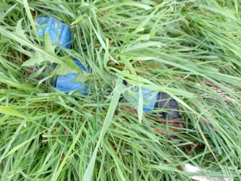 дача на Дорожной улице город Городец