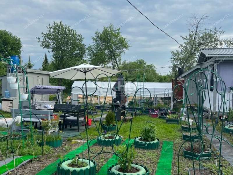 дача на Снт сад 4 Яблонька рабочий посёлок Горбатовка