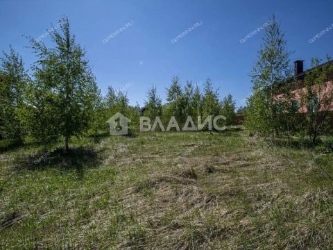 derevnya-burcevo-bogorodskiy-municipalnyy-okrug фото