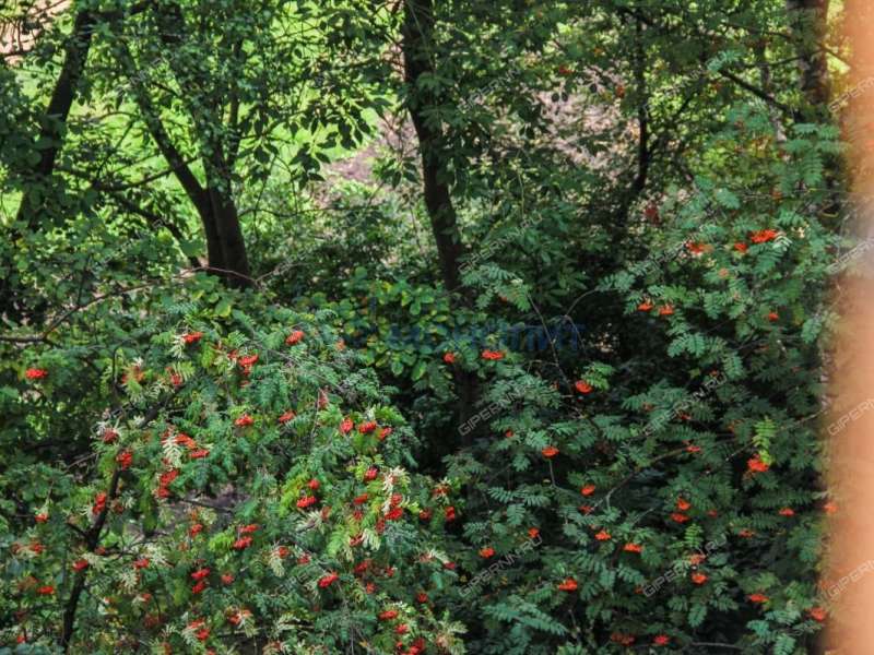 двухкомнатная квартира на улице Маршала Рокоссовского дом 13