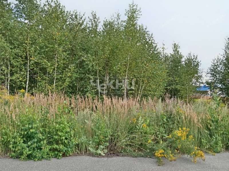 земельный участок 11 соток деревня Архипиха