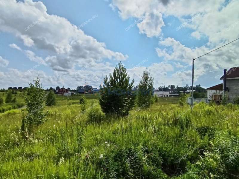 земельный участок 10 соток Ясная улица село Ефимьево