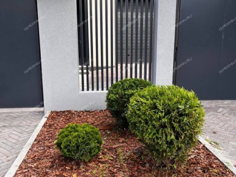 kottedzh-ul-rybinskaya-d-51 фото