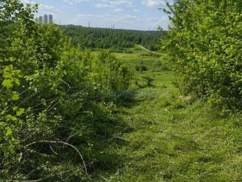 земельный участок 10 соток Центральная улица