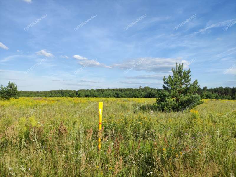 земельный участок 6,6 сотки Садовая деревня Шумилово