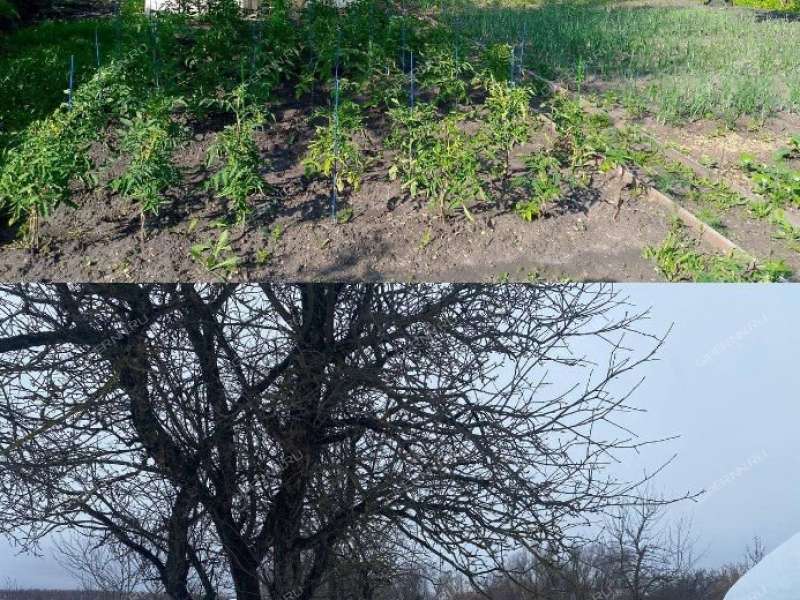 дом на Шоссейной улице село Богоявление