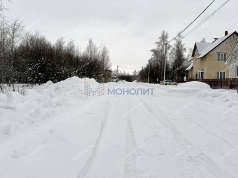 selo-diveevo-diveevskiy-municipalnyy-okrug фото