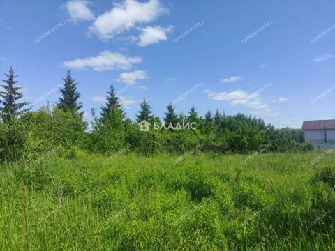 selo-dudenevo-bogorodskiy-municipalnyy-okrug фото
