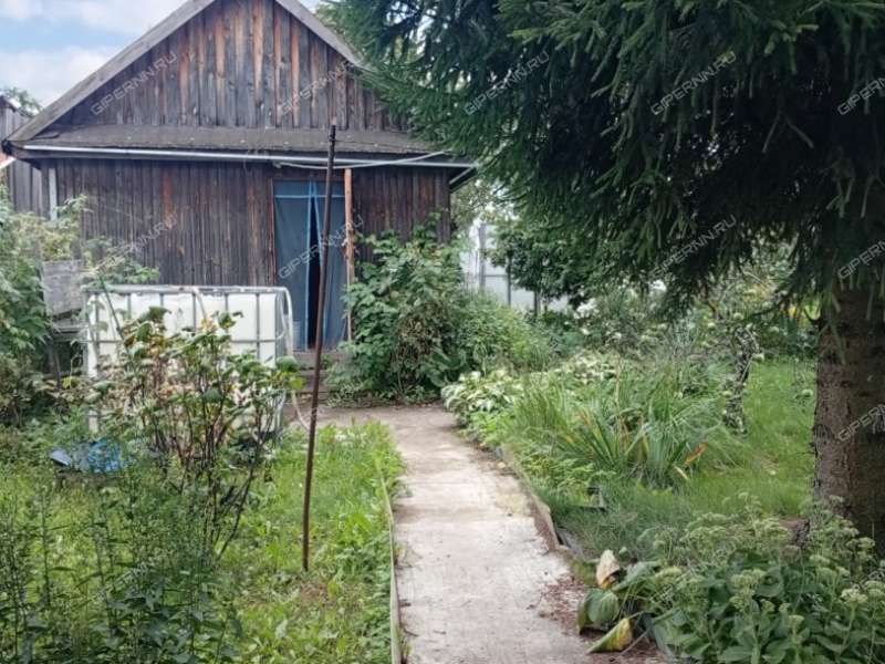 дача на Восход N2 тер. садовое неком-е товарищество город Бор