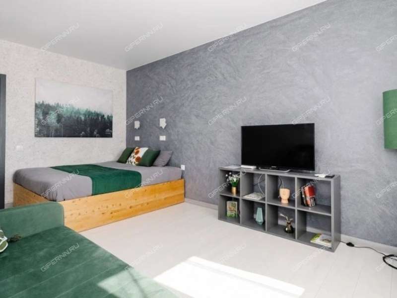 однокомнатная квартира на улице Сергея Тюленина дом 20А