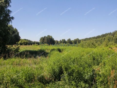 derevnya-kruglovo-gorodskoy-okrug-bor фото