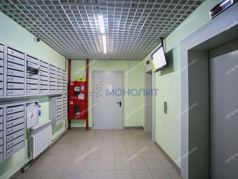 квартира-студия на Академической улице дом 12 деревня Афонино