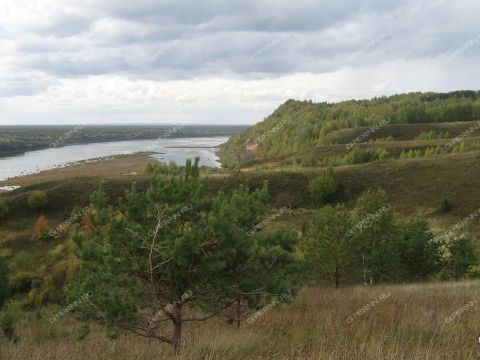 derevnya-pestryakovo-pavlovskiy-municipalnyy-okrug фото