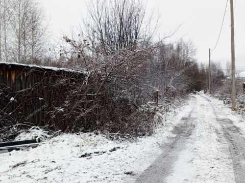 snt-sadovnik-gorodskoy-okrug-bor фото