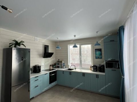 kottedzh-derevnya-podyablonnoe-bogorodskiy-municipalnyy-okrug фото
