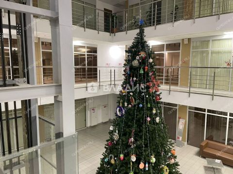 ul-minina-d-10v фото