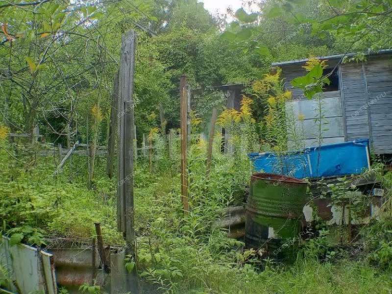 земельный участок 5,7 сотки «Маяк» садовое товарищество