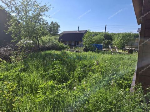 dacha-derevnya-ankudinovka-bogorodskiy-municipalnyy-okrug фото