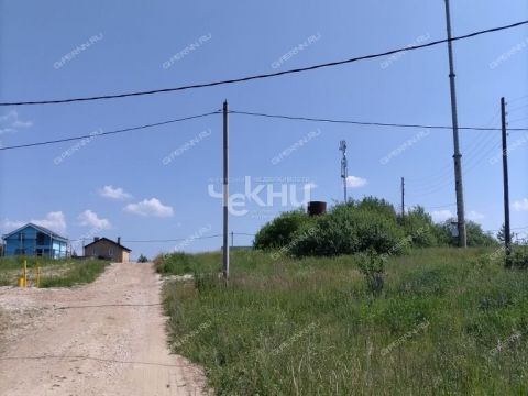 selo-afanasevo-bogorodskiy-municipalnyy-okrug фото