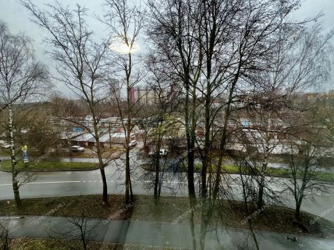 1-komnatnaya-ul-kozickogo-d-2 фото