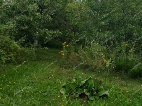 dacha-derevnya-zimenki-bogorodskiy-municipalnyy-okrug фото