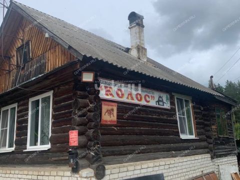 dom-snt-kolos-ter-gorodskoy-okrug-bor фото