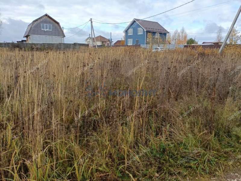 земельный участок 8 соток Радужная улица деревня Шумилово