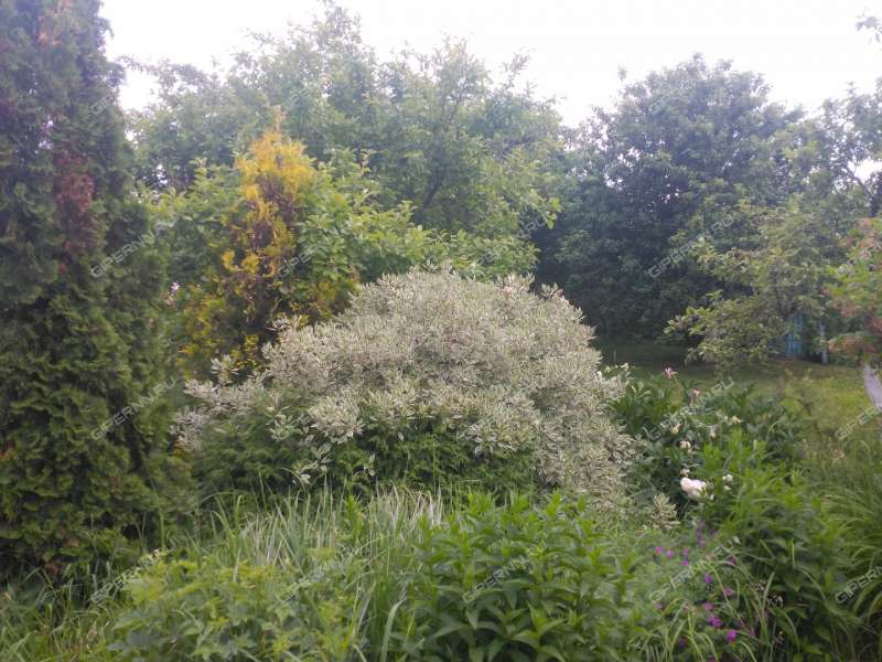 дом на  деревня Крутая