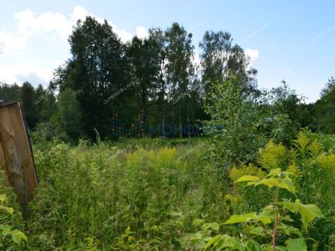 derevnya-yablonovo-gorodskoy-okrug-chkalovsk фото