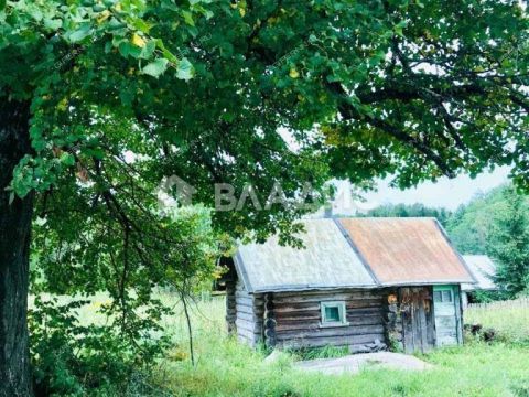 dom-derevnya-matyushki-gorodskoy-okrug-bor фото