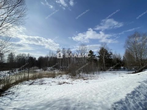 selo-slobodskoe-kstovskiy-rayon фото