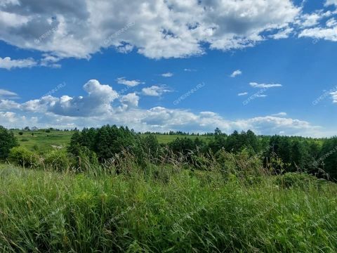 derevnya-kileley-bogorodskiy-municipalnyy-okrug фото