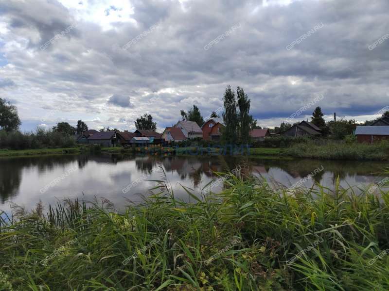 дом на Центральной улице село Курилово