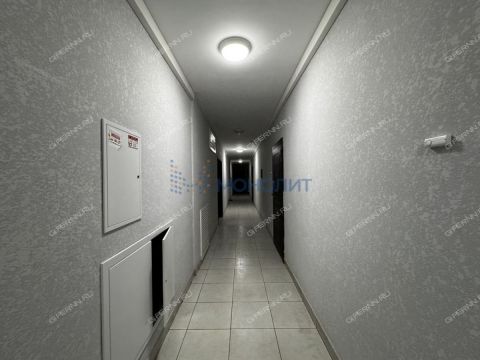 1-komnatnaya-derevnya-ankudinovka-kstovskiy-rayon фото