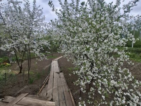 3-komnatnaya-selo-chernuha-kstovskiy-rayon фото