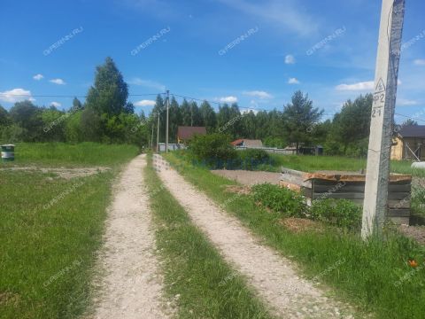 snt-leninec-10-bogorodskiy-municipalnyy-okrug фото
