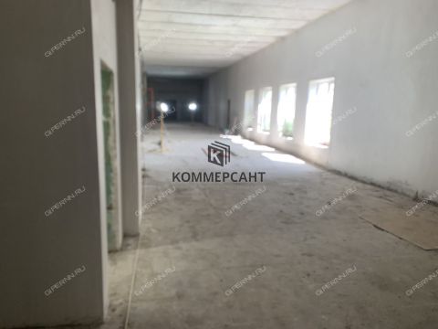 ul-shalyapina-d-2a фото