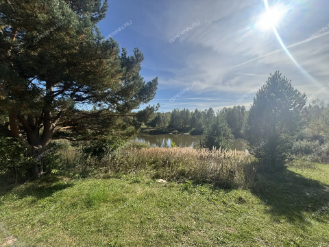 derevnya-kremenki-dalnekonstantinovskiy-rayon фото